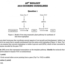 Ap bio unit 7 frq answers