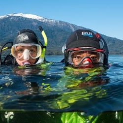 Diver necessary safely metres altitudes feet